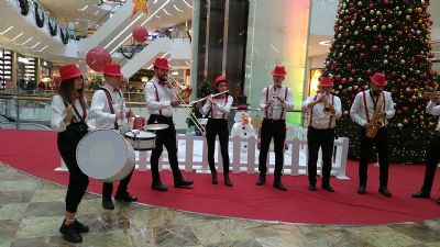 Tören ve Gösteri Bandosu