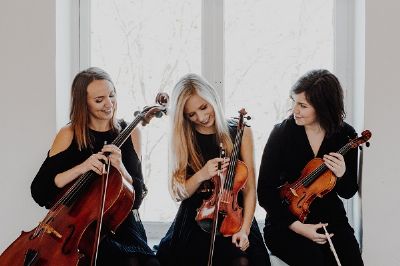 Trio Grubu